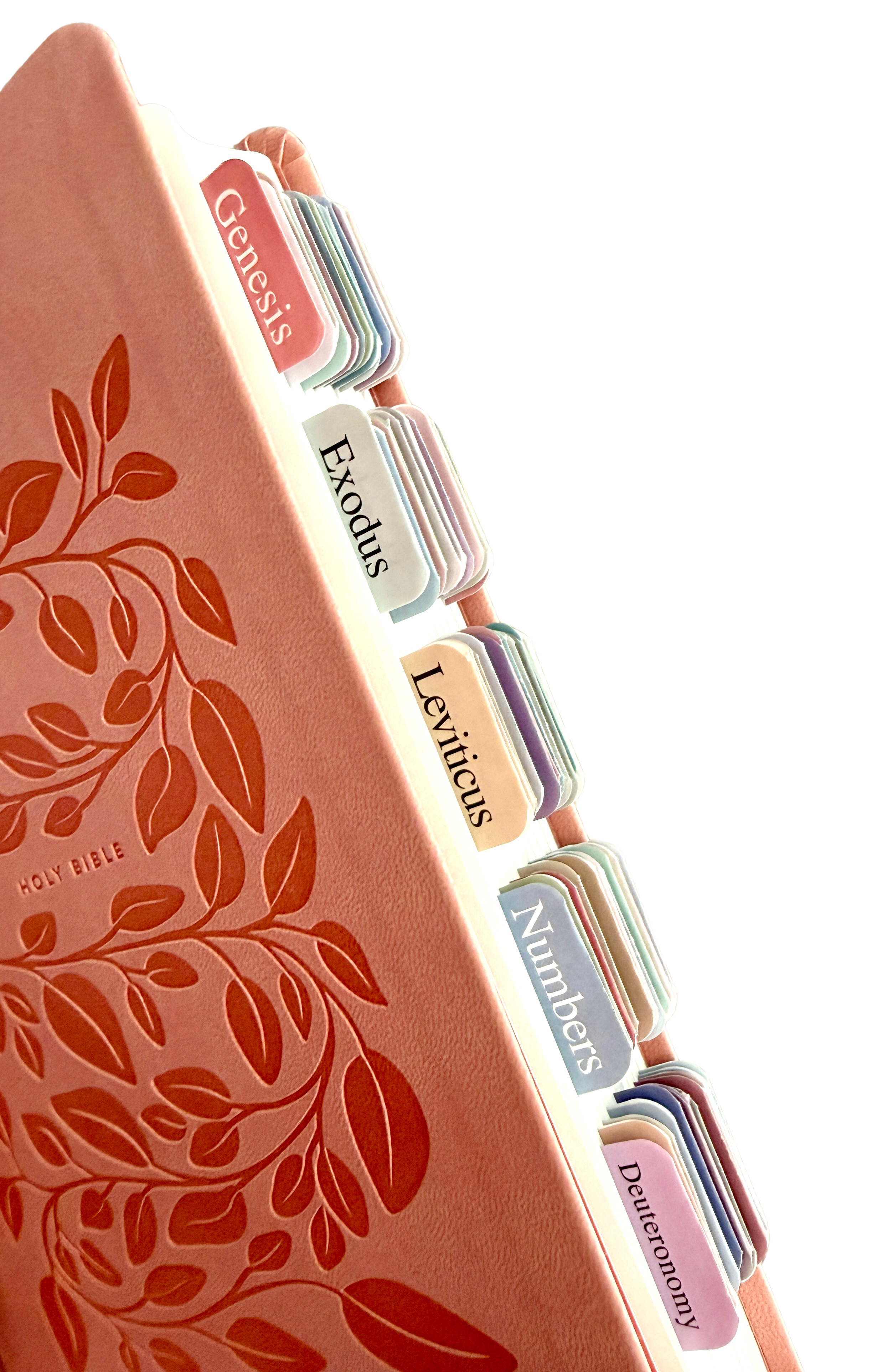 "YES! Pre-load Bible Tabs and Bible Tracker"
